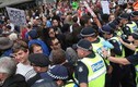 Biểu tình chống chủ nghĩa Hồi giáo cực đoan rầm rộ ở Australia
