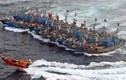 Hàn Quốc quyết “xử” kẻ trộm cá Trung Quốc