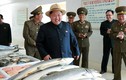 Lãnh đạo Kim Jong-un thích thú trại nuôi cá hồi