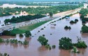 Hình ảnh lũ lụt kinh hoàng ở bang Louisiana