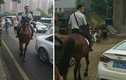 Lạ lùng chàng trai Trung Quốc cưỡi ngựa đi làm mỗi ngày