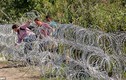 Rợn người cảnh dân di cư xé rào vào lãnh thổ Hungary 