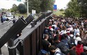 Hungary đóng biên giới, người tị nạn đi qua bãi mìn
