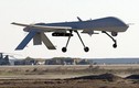 Máy bay Nga chặn UAV Mỹ ở Syria 