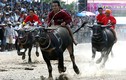 Lễ hội đua trâu ở Thái Lan qua ảnh