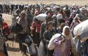 Nhờ Nga không kích IS, dân Syria dồn dập trở về nhà