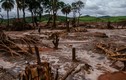 Thảm họa môi trường tồi tệ nhất ở Brazil qua ảnh