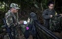 Ảnh hiếm: Cuộc sống trong rừng của quân nổi dậy Colombia