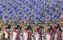 Hình ảnh đáng nhớ trong lễ diễu hành dịp Quốc khánh Ấn Độ