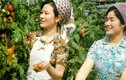 Ngắm nhan sắc phụ nữ Triều Tiên cuối thập niên 1970