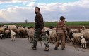 Đất nước Syria im tiếng súng sau 5 năm nội chiến