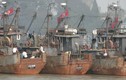 Chìm tàu cá Triều Tiên, 8 người chết