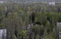 Ảnh: Vết tích thời gian ở thị trấn Pripyat sau thảm họa Chernobyl