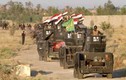 Chùm ảnh quân đội Iraq đánh chiếm mạn nam Fallujah