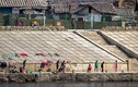 Cuộc sống thường nhật ở Triều Tiên qua ảnh blogger Nga
