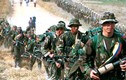 Giao tranh giữa FARC và quân chính phủ Colombia qua ảnh