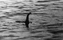Quái vật hồ Loch Ness đã chết?