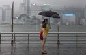 Chùm ảnh bão Nida đổ bộ vào Hồng Kông, Quảng Đông