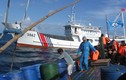 Philippines tố Trung Quốc điều nhiều tàu tới bãi cạn Scarborough