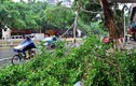 Ảnh: Sau Đài Loan, bão Megi tàn phá Trung Quốc
