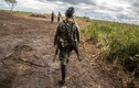 Những ngày du kích cuối cùng của các thành viên FARC 