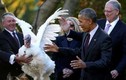 Ảnh: Tổng thống Obama xá tội gà tây 8 năm qua