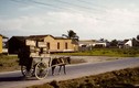 Đất nước Cuba những năm 1950 qua ảnh