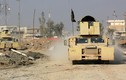 Chiến trường Mosul qua loạt ảnh mới của Reuters