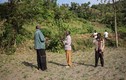 Khám phá cuộc sống của tộc người lùn Pygmy ở Congo