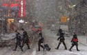 Chuỗi ảnh kinh hoàng về bão tuyết ở New York