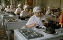 Cách chế biến trứng cá Caviar quí như vàng ở Liên Xô