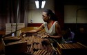 Cùng xem quá trình sản xuất xì gà Cuba danh tiếng