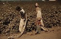 Chùm ảnh về lao động da màu ở Mỹ hồi thập niên 1930