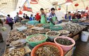 Ghé thăm chợ hải sản nổi tiếng ở Thanh Đảo 