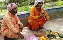 Rợn người xem rắn độc biểu diễn giữa phố Ấn Độ