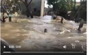 Video: Xót xa bé trai bơi giữa dòng nước để nhận đồ cứu trợ