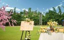 Đám cưới siêu lãng mạn tại vườn Nhật giữa trời thu Hà Nội