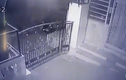Video: Báo hoa mai bật nhảy ngoạn mục để truy sát con mồi