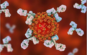 Cực nóng: Phát hiện kháng thể virus SARS-CoV-2 trong máu hươu hoang dã 