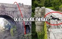 Giải mã cây cầu bí ẩn khiến cho loài chó cứ đi qua là lao đầu tự tử 