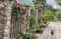 Ngắm khu vườn 300m2 ngập tràn hoa trái ở Hà Giang 