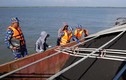Hải Phòng: Phát hiện tàu chở 1.000 tấn than không có giấy tờ
