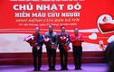 Hàng trăm cán bộ, sinh viên trường ĐH Hàng hải Việt Nam hiến máu cứu người