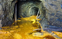 Video: Hé lộ tin không ngờ về mỏ vàng lớn nhất thế giới