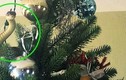 Video: Bất ngờ với “vị khách không mời mà đến” trên cây thông Noel