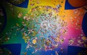 Video: Ấn tượng triển lãm “điên rồ” đầy màu sắc ở Italy