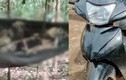 Video: Vụ 2 bộ xương khô trong rừng: Tìm thấy xe máy nghi của nạn nhân