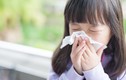 Cảnh báo dịch cúm có khả năng lây lan mạnh, nguy cơ dịch chồng dịch