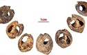 “Hoa mắt” với kho trang sức cổ xưa nhất thế giới