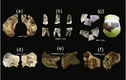 Kho báu vô song 40.000 tuổi hé lộ bằng chứng về loài người khác